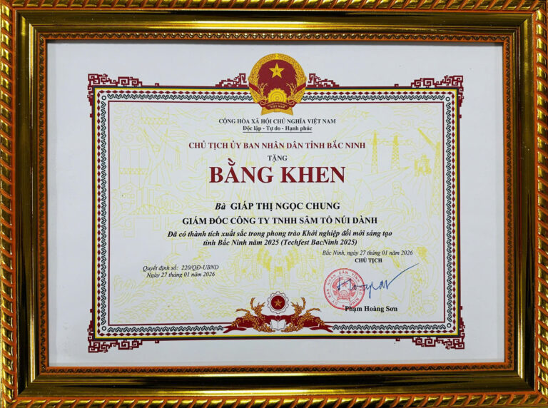 Bang khen tinh Bac Ninh Sam To Nui Danh