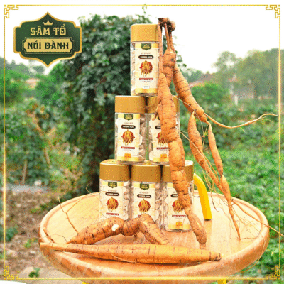Củ Sâm Nam núi Dành 7 tuổi sấy thái lát 100gr - Sâm Tổ núi Dành