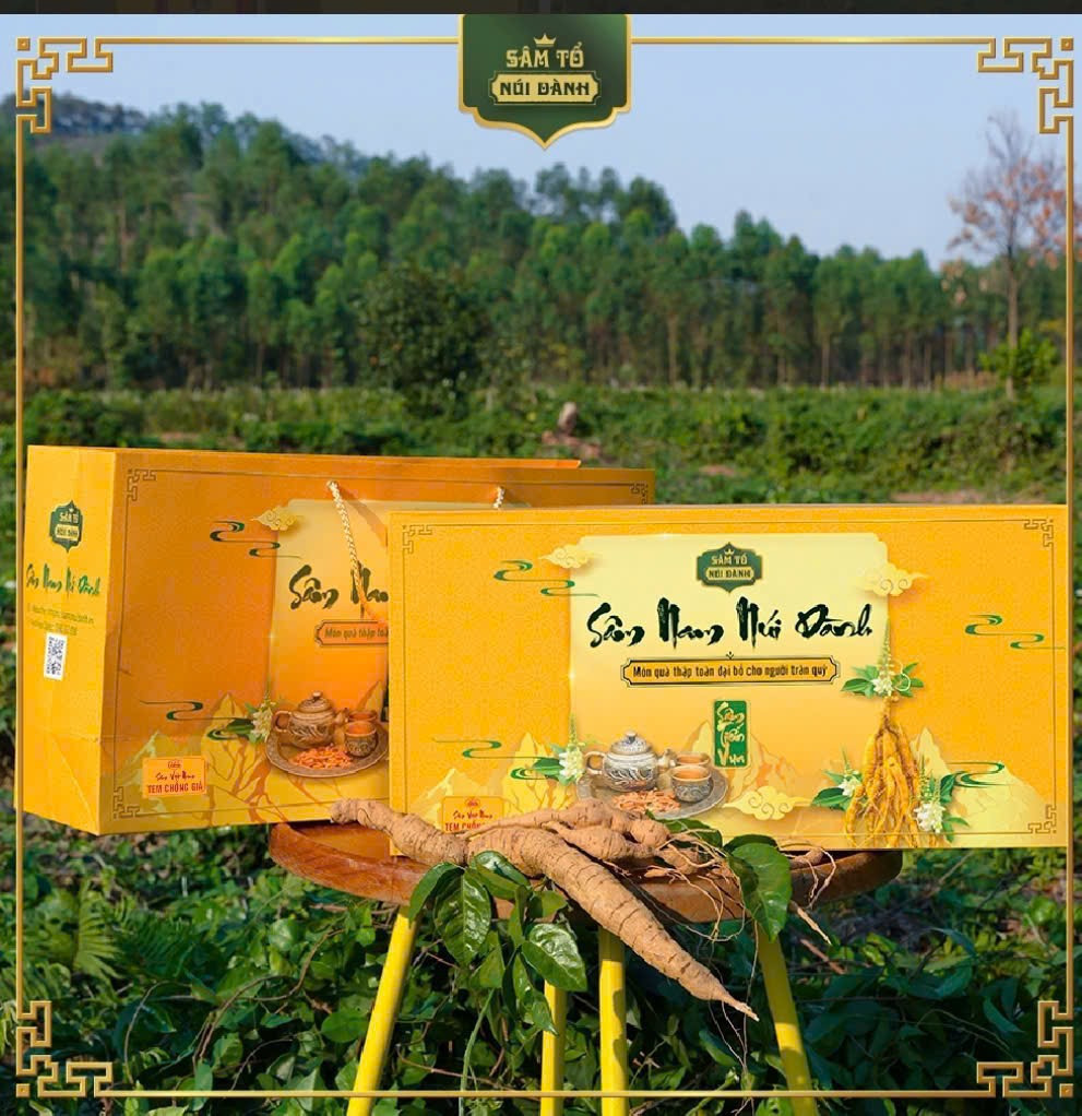 Quà Tết Sâm Tổ Núi Dành được dùng biếu đại sứ quán các nước